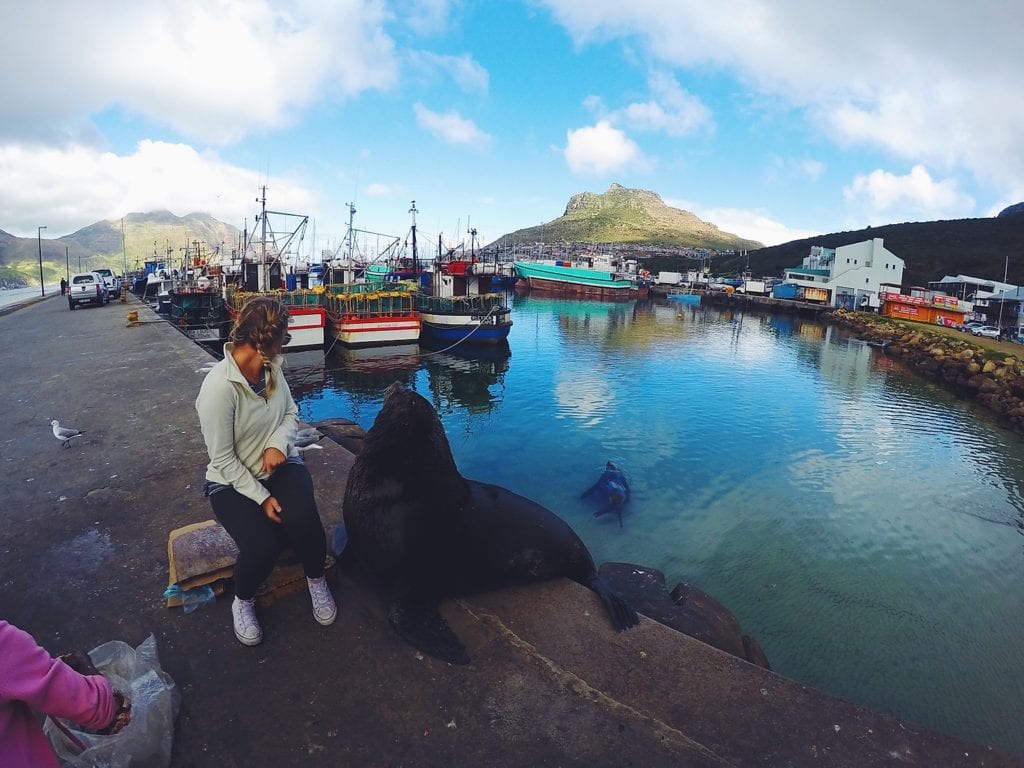 Saving Money for Travel South Africa