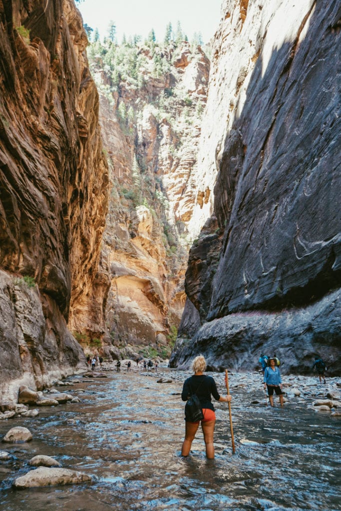 The Narrows Riverside Walk Hiking Trail Zion National Park