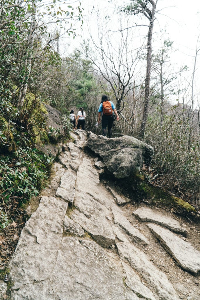 Old rag summit trail Shenandoah National Park Virginia