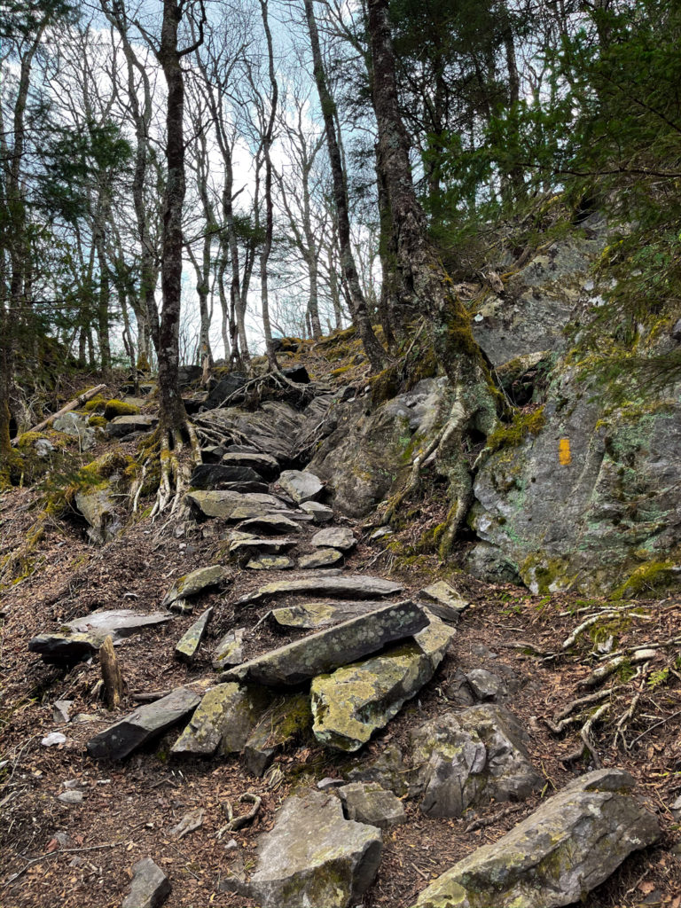 Marked hike at Grayson Highlands