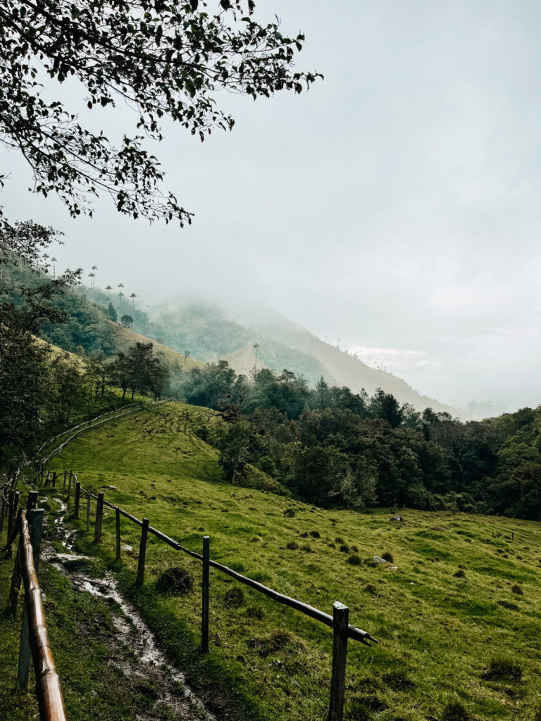 Best Apps & Websites for Traveling in Colombia