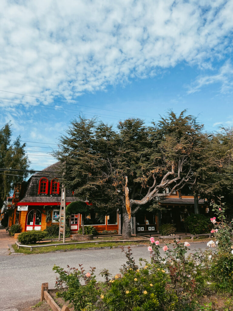 street in City of Pucon Chile