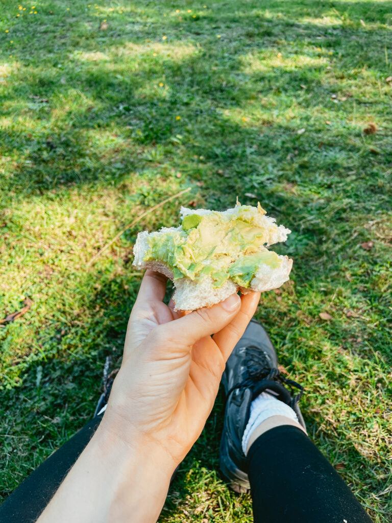 avocado and bread / palta y pan in Chile