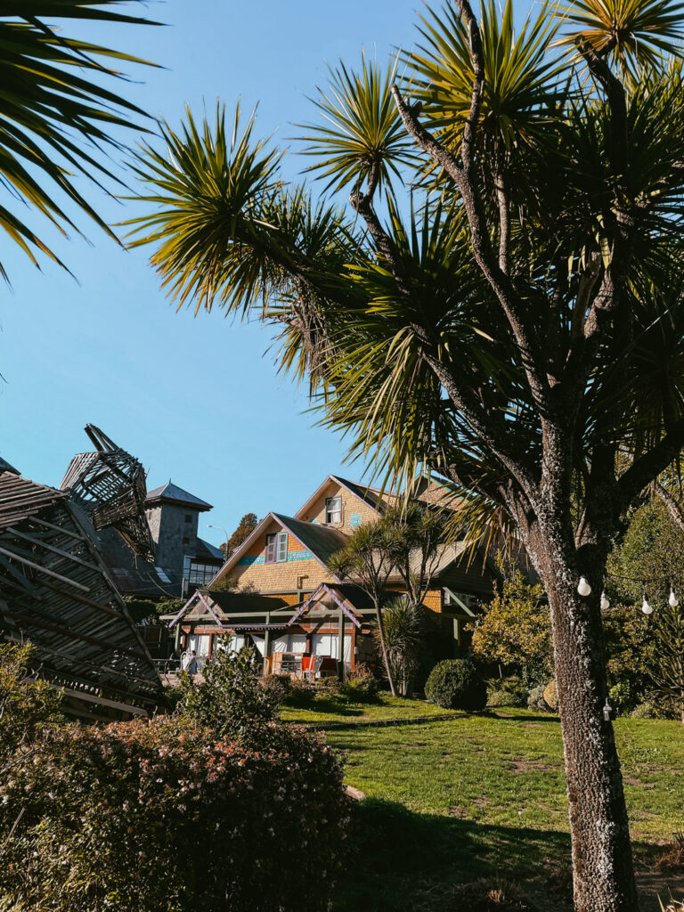 Selina hotel in Pucon Chile