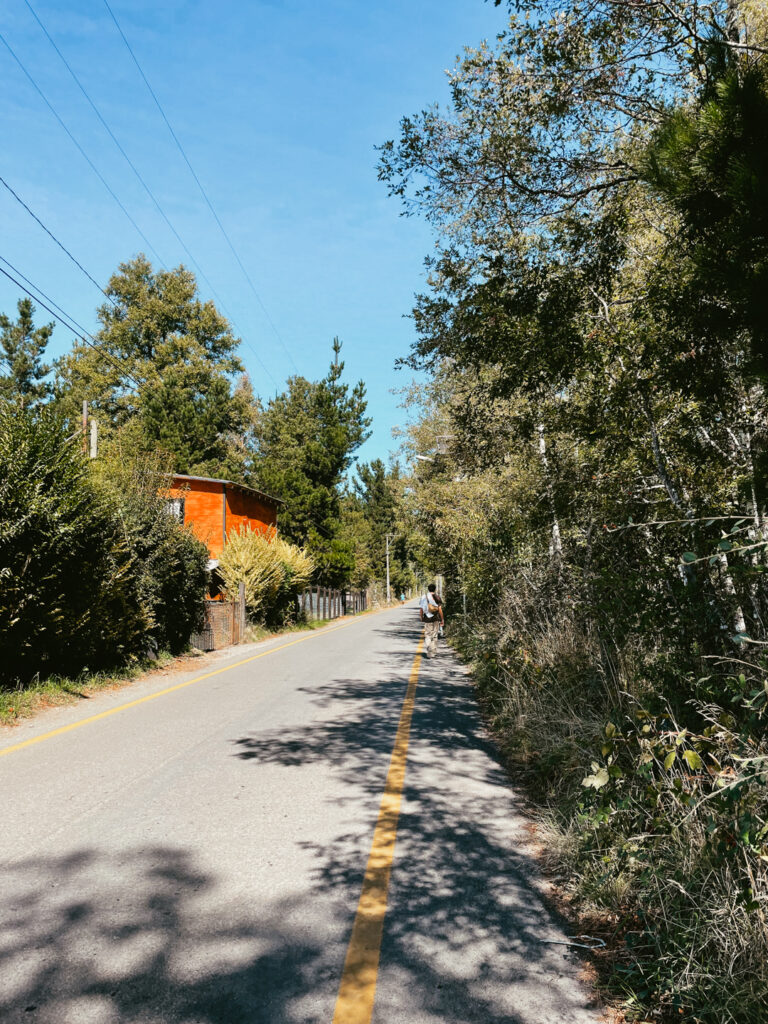 road to Salto del Claro in Pucon Chile