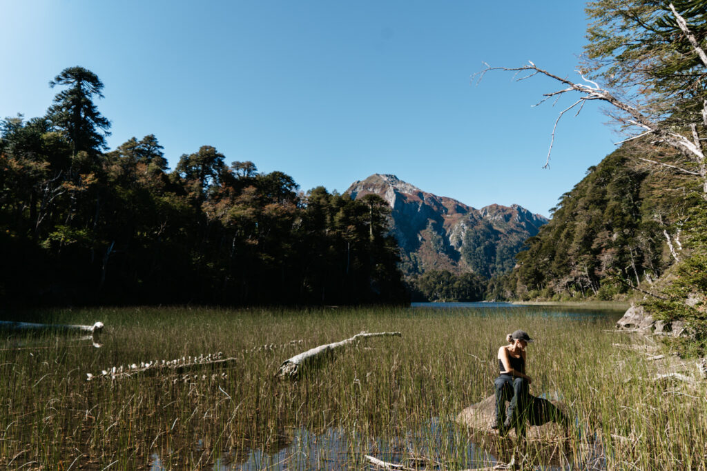 Huerquhue National Park