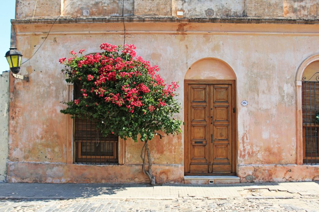 colonia Uruguay