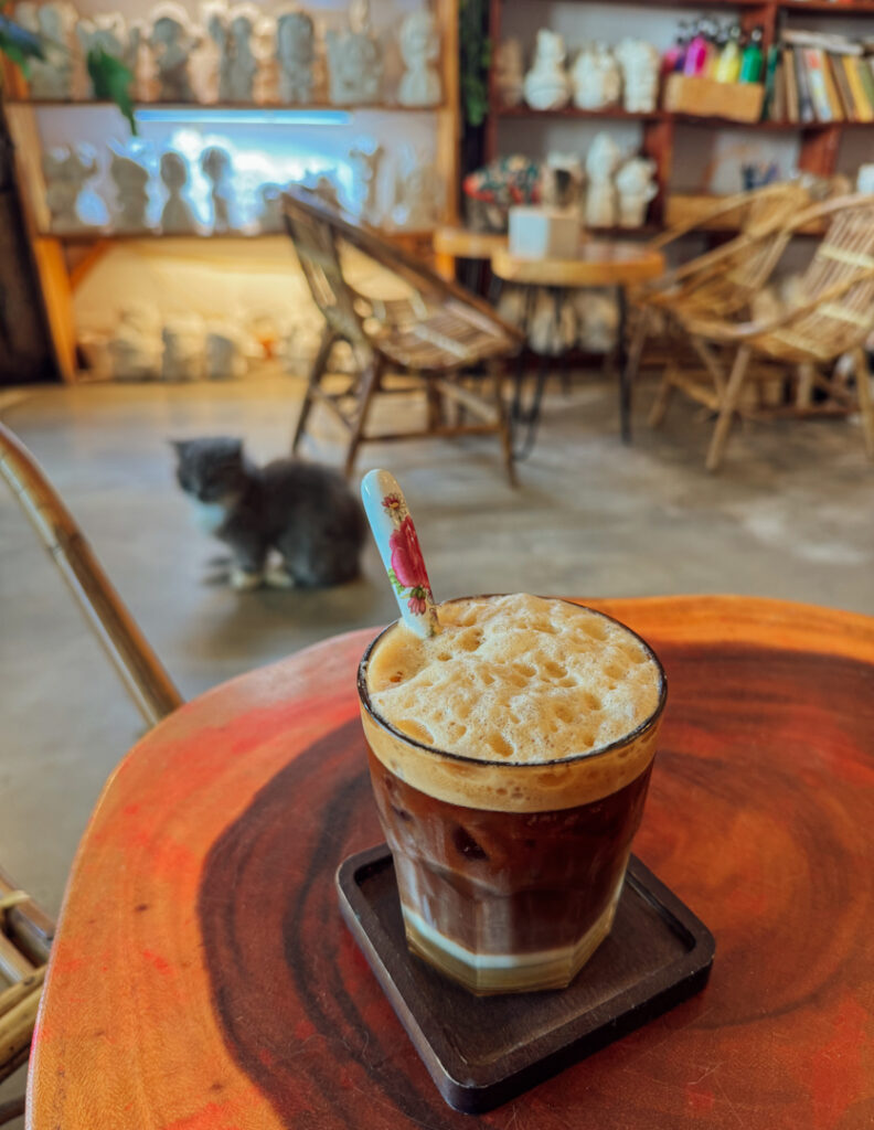 cat cafe